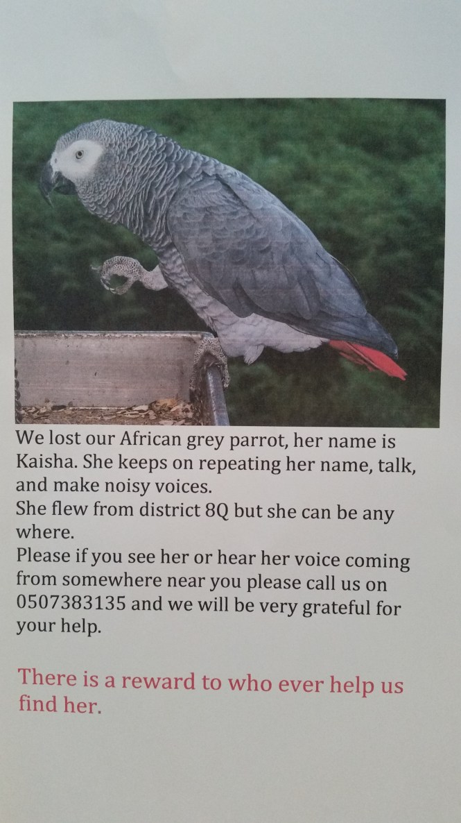 1454816052476-1631519150